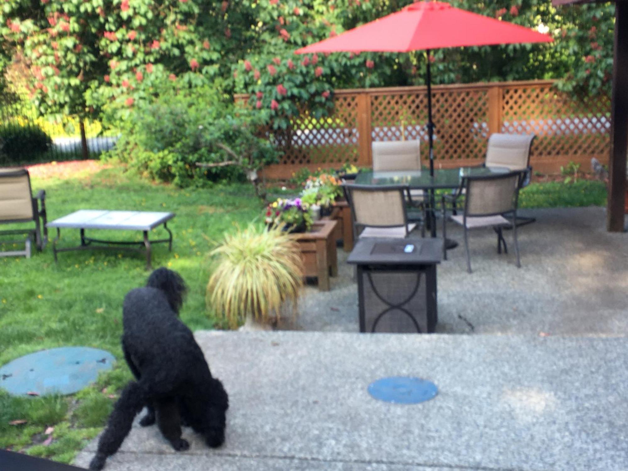 Coles Bay Vacation Retreat Villa North Saanich Kültér fotó