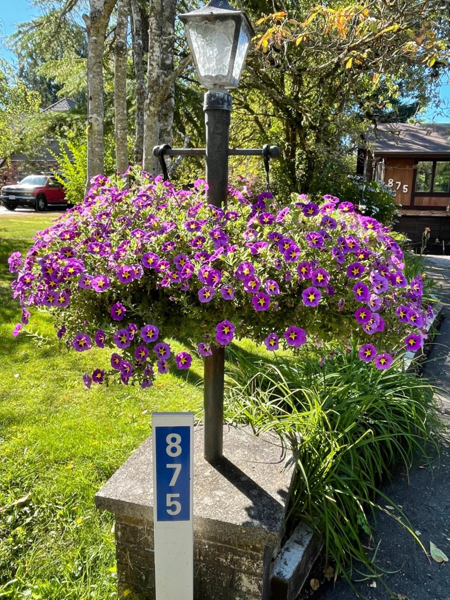 Coles Bay Vacation Retreat Villa North Saanich Kültér fotó